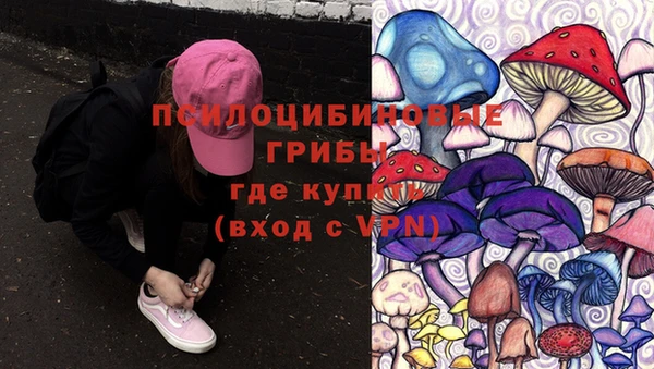 эйфоретик Козельск